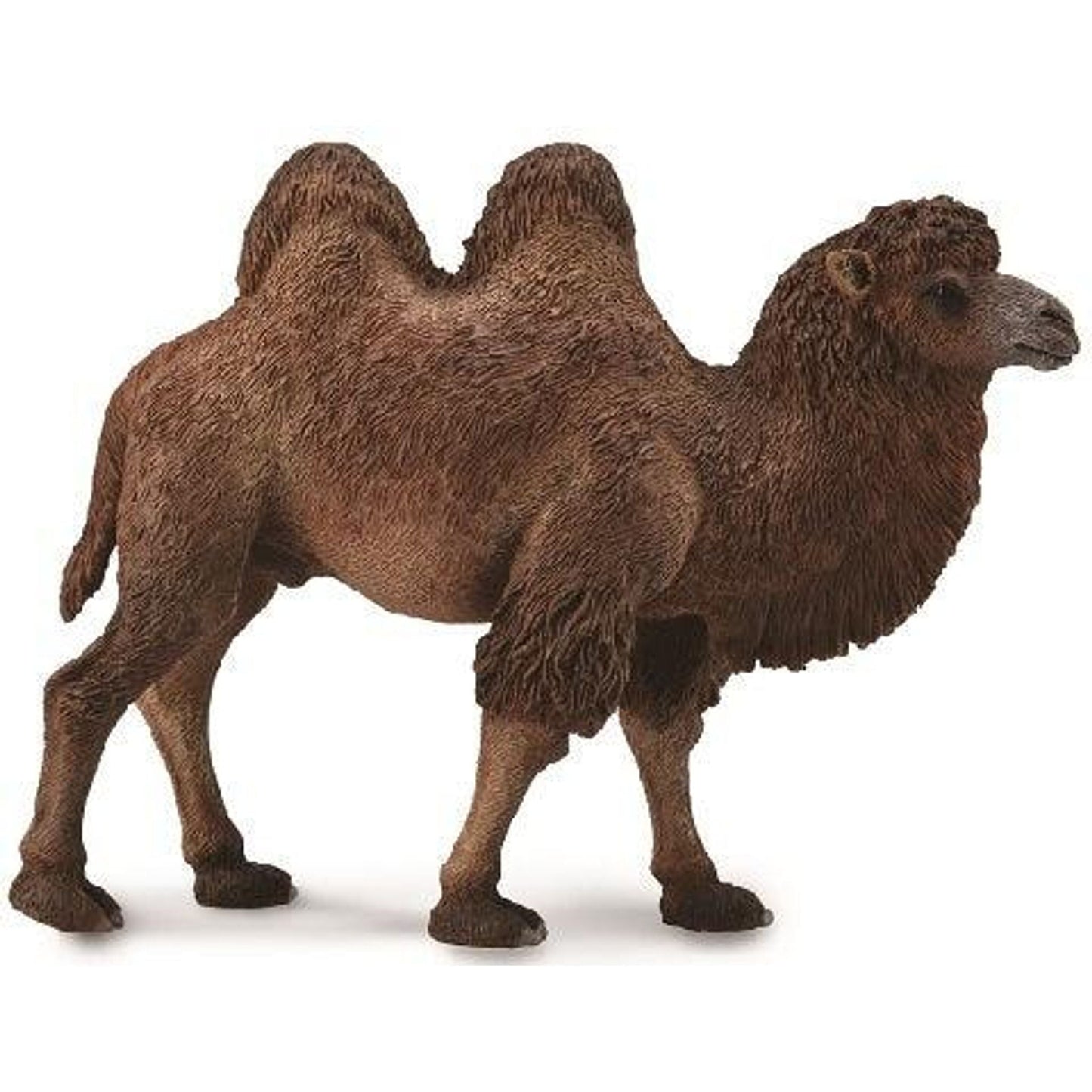 Bactrian Camel (L) - Toybox Tales