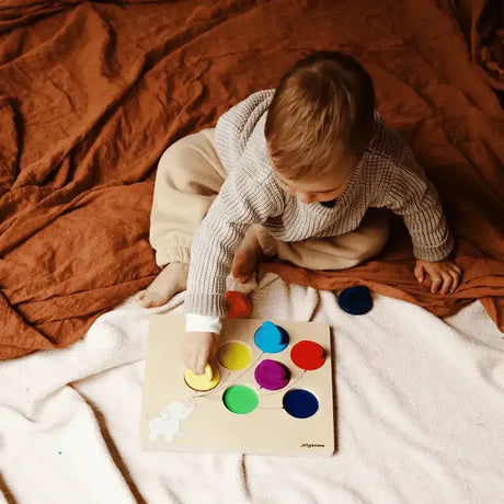 Balloon Colour Sorter - Toybox Tales