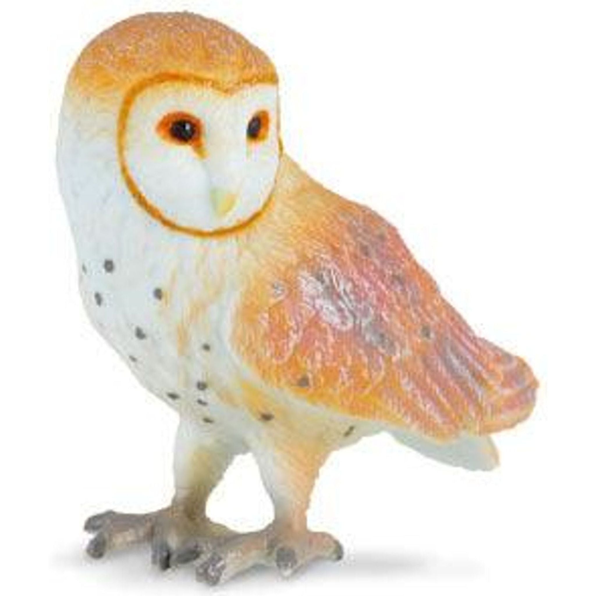 CollectA | Barn Owl (S) - Toybox Tales