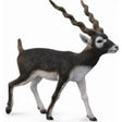 CollectA | Blackbuck (L) - Toybox Tales