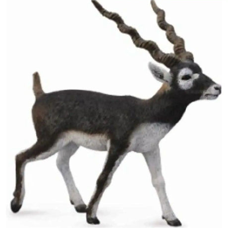 CollectA | Blackbuck (L) - Toybox Tales