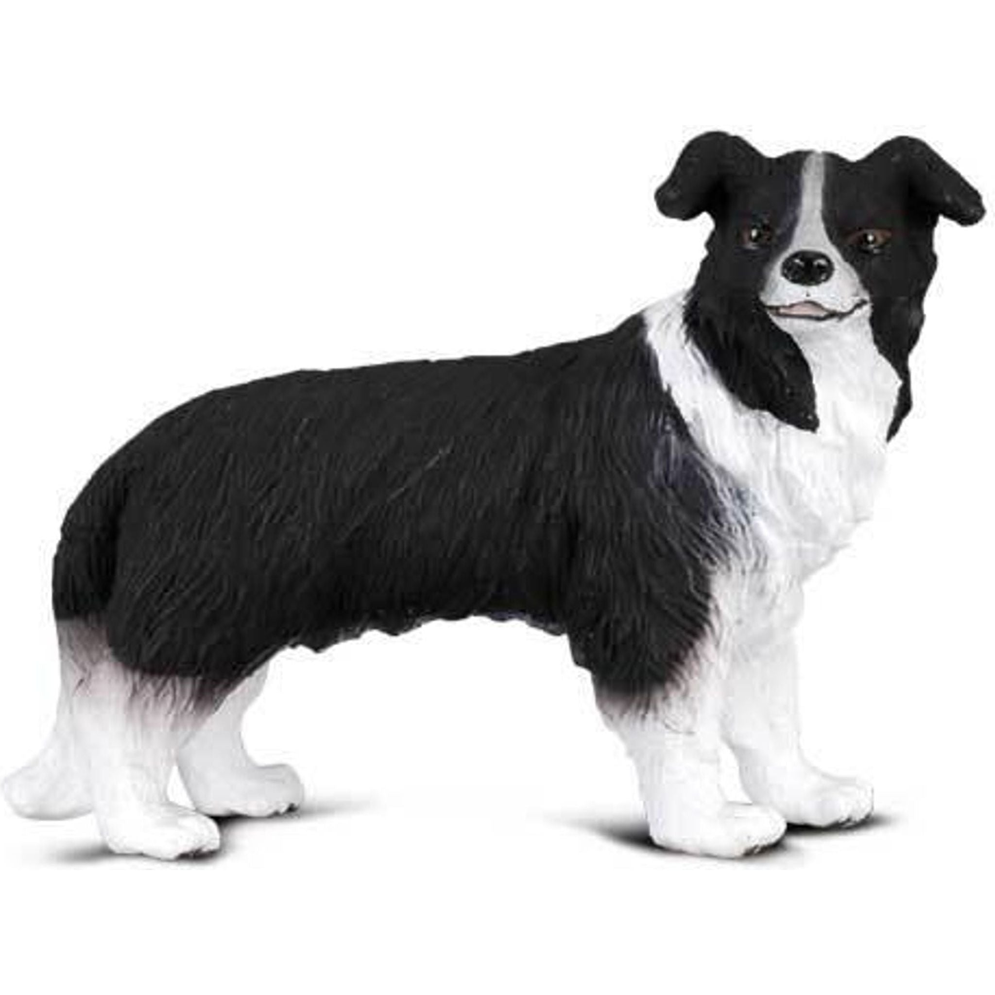 CollectA | Border Collie (M) - Toybox Tales