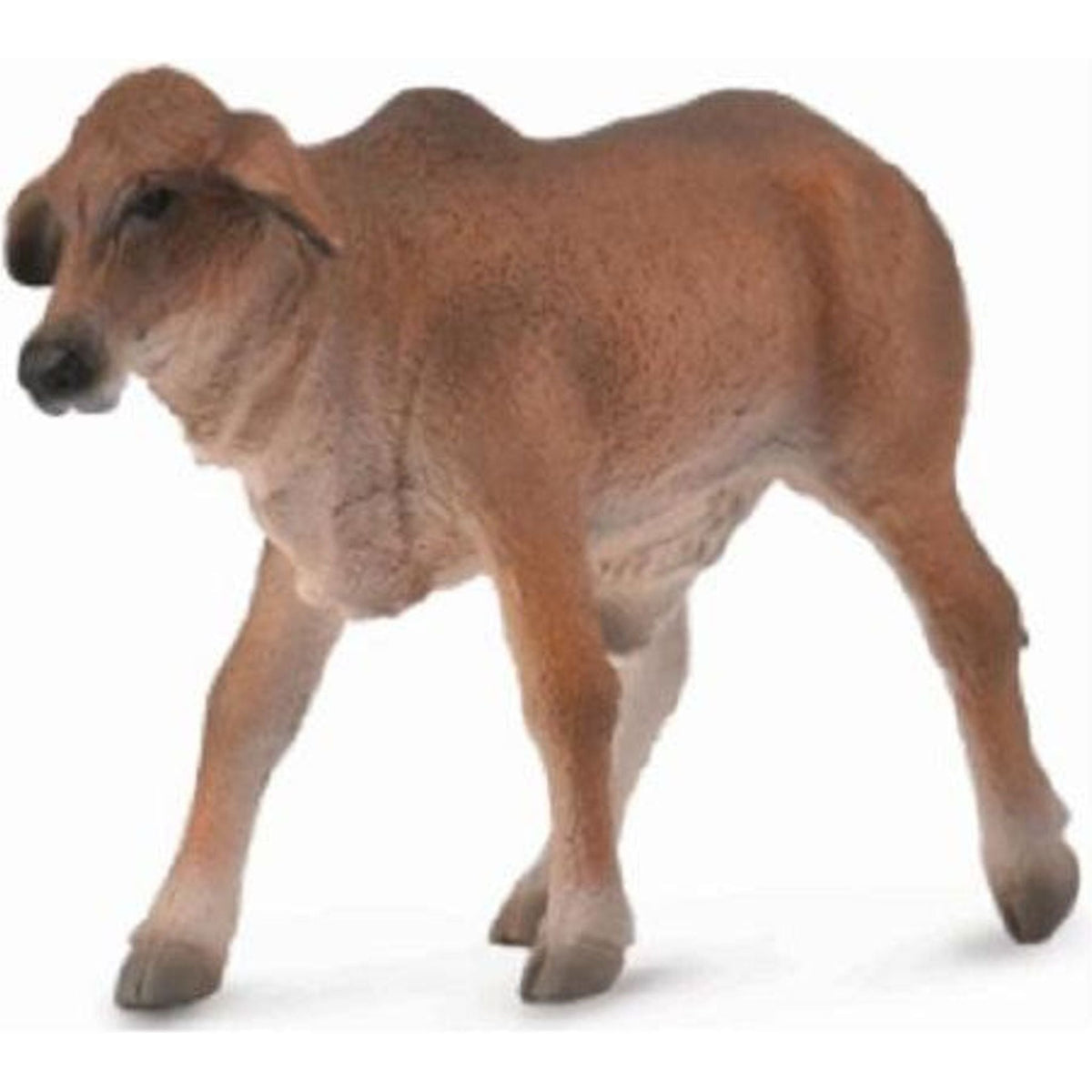 CollectA | Brahman Calf Red (S) - Toybox Tales