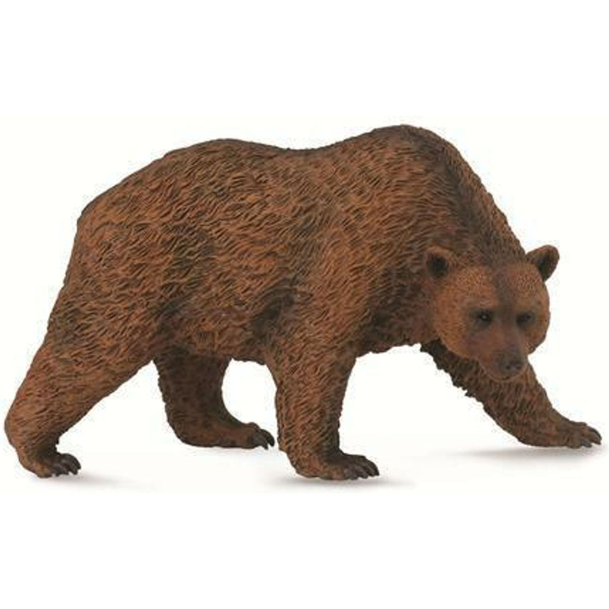 CollectA | Brown Bear (L) - Toybox Tales