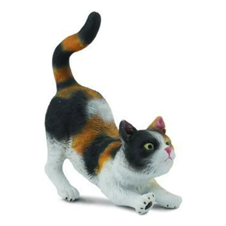 CollectA | Cat Moggy (Stretching) (S) - Toybox Tales