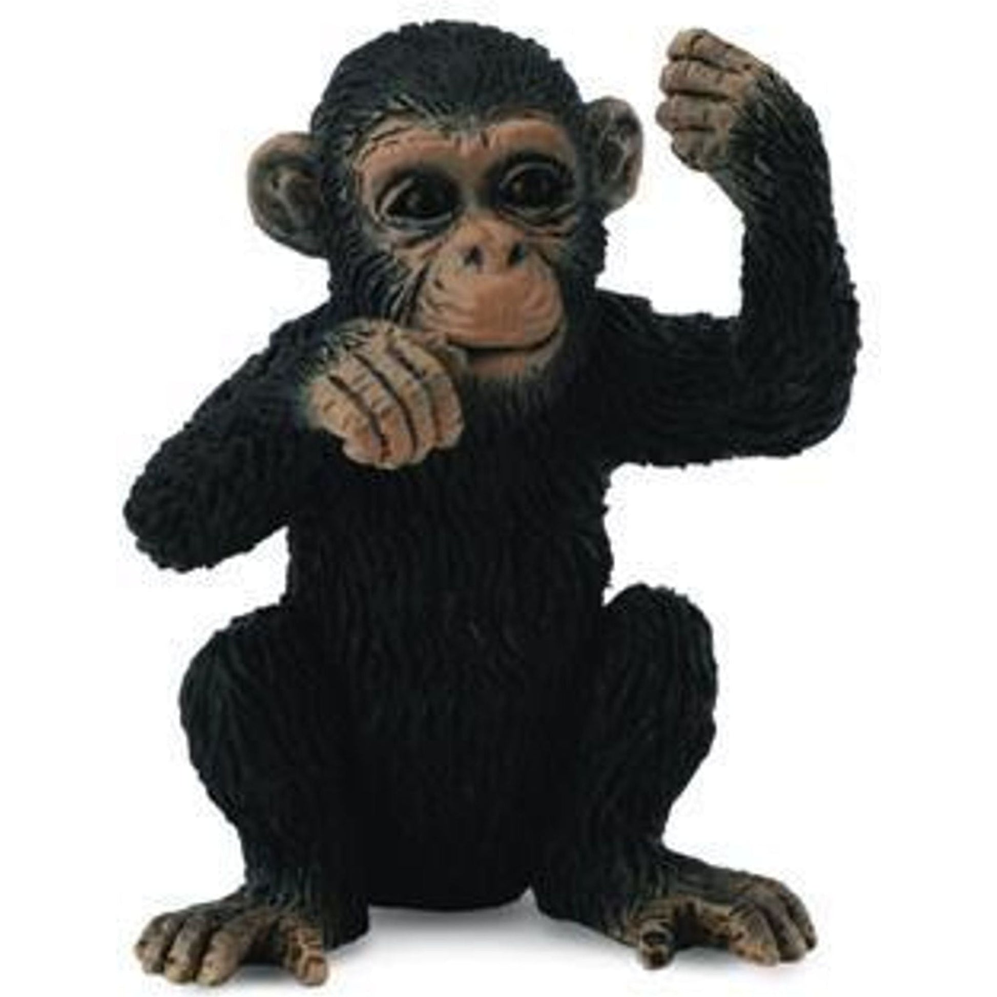 Chimpanzee Cub Thinking (S) - Toybox Tales