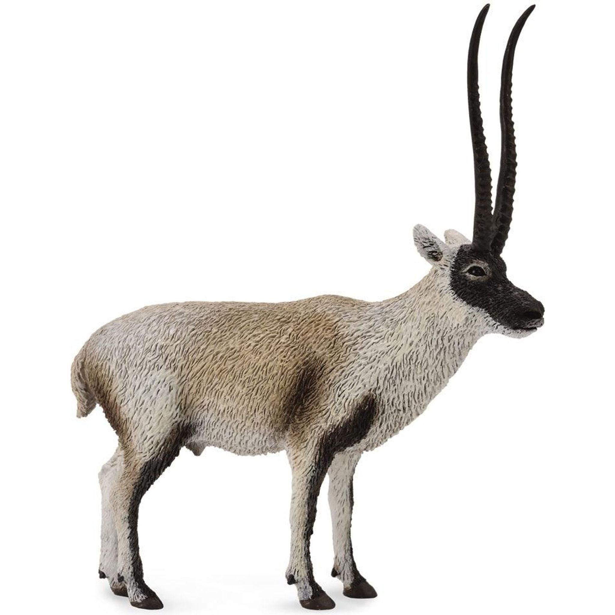 Chiru (Tibetan Antelope) (L) - Toybox Tales