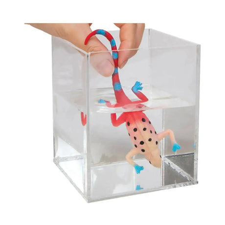 Colour Changing Revealeons - Toybox Tales