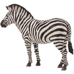 CollectA | Common Zebra (L) - Toybox Tales