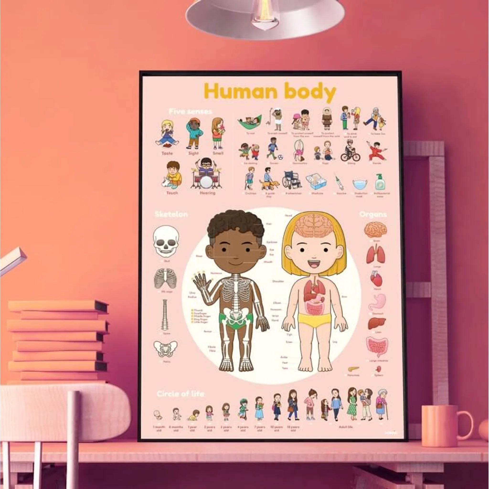 Discovery Stickers - Human Body - Toybox Tales