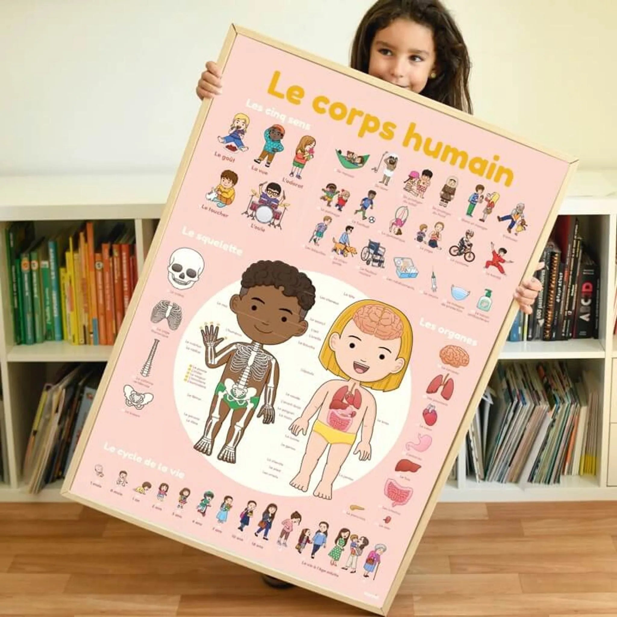 Discovery Stickers - Human Body - Toybox Tales