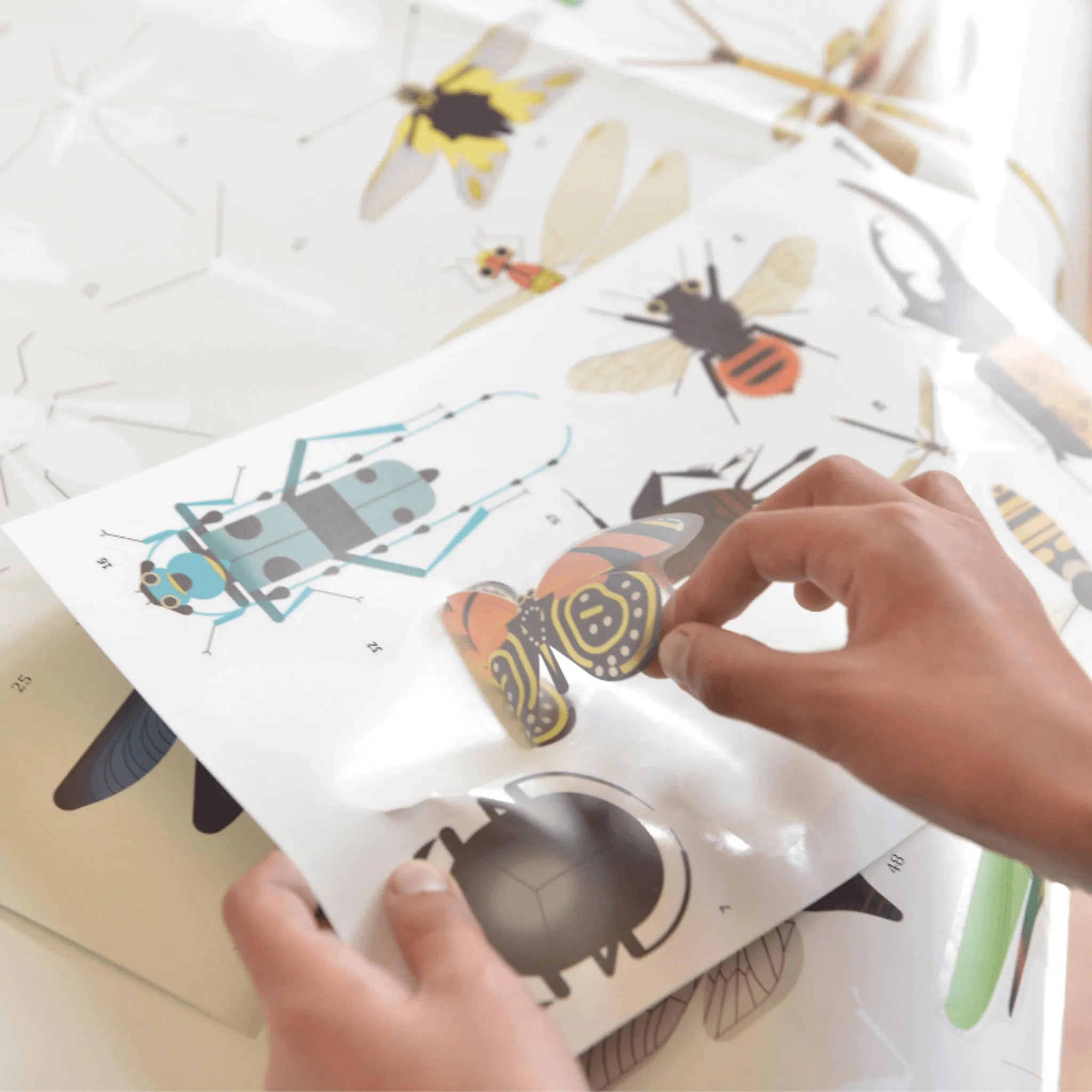 Discovery Stickers - Insects - Toybox Tales