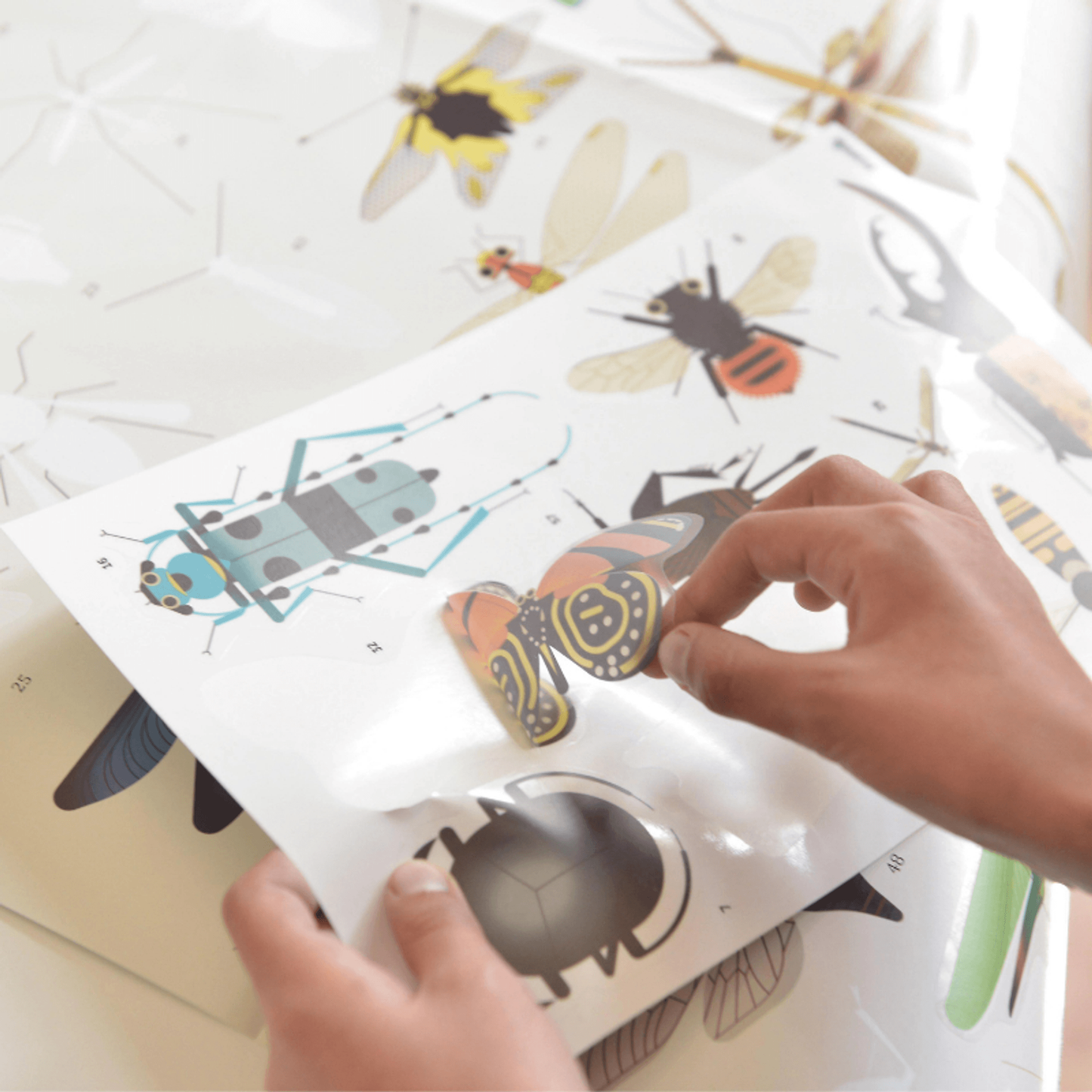 Discovery Stickers - Insects - Toybox Tales