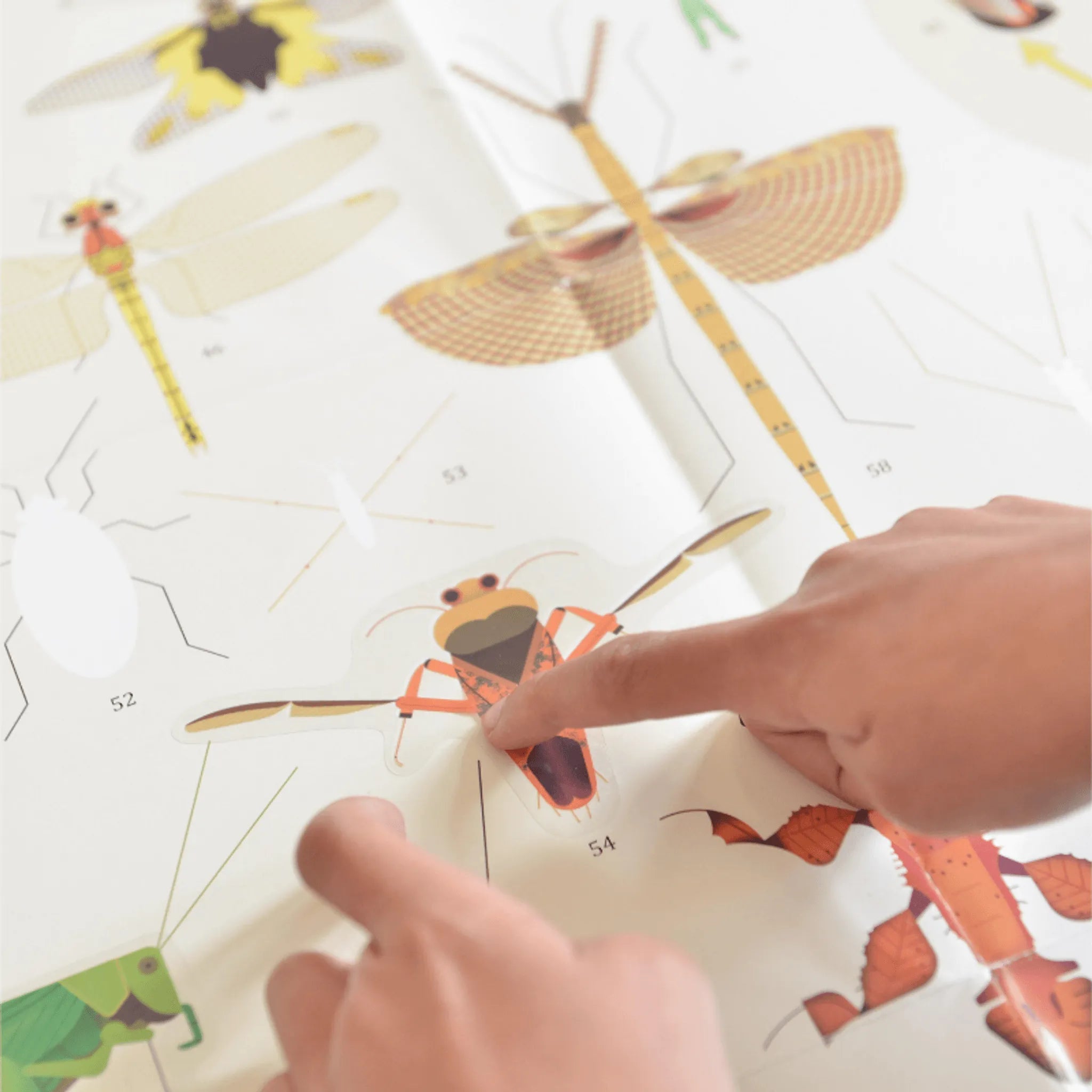 Discovery Stickers - Insects - Toybox Tales