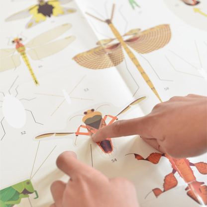 Discovery Stickers - Insects - Toybox Tales