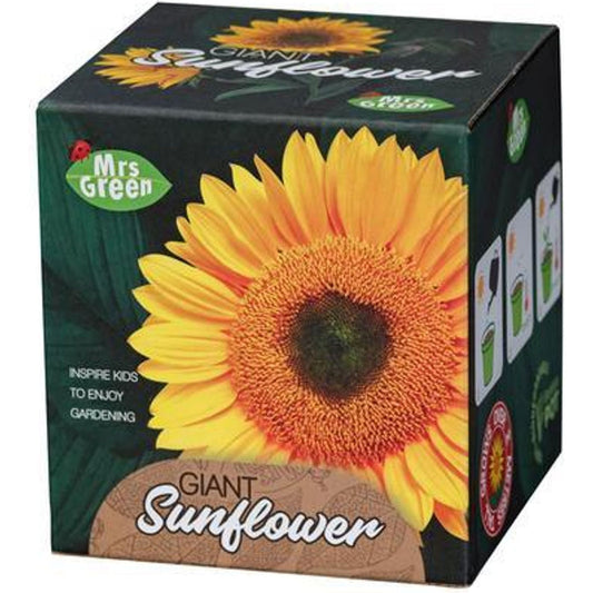 Giant Sunflower Growing Kit - Toybox Tales