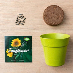 Giant Sunflower Growing Kit - Toybox Tales