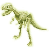 Glow T-Rex Skeleton - Toybox Tales