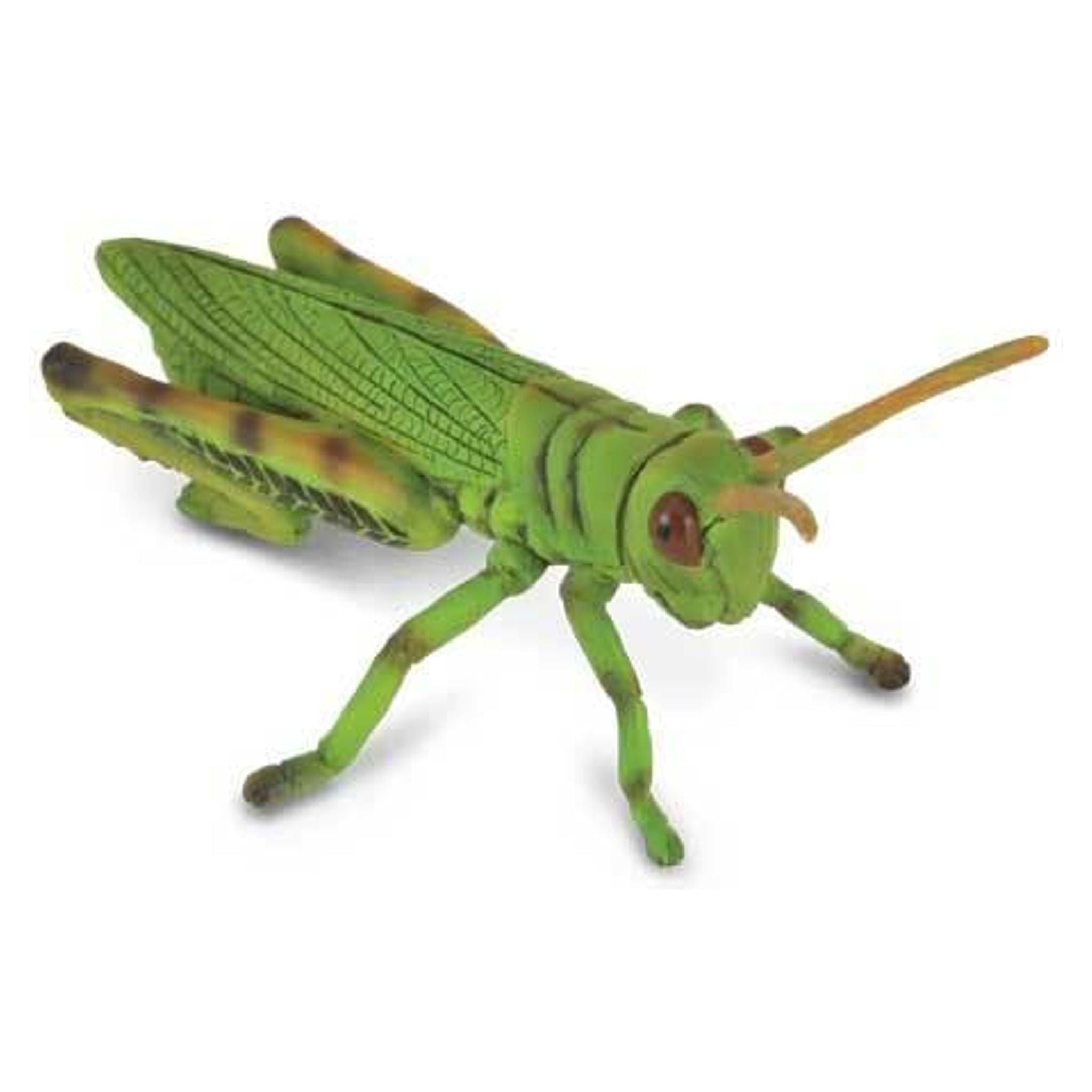 Grasshopper (M) - Toybox Tales