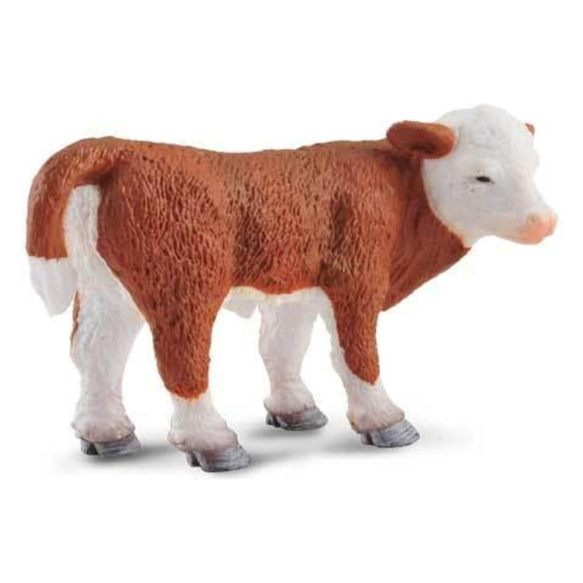 CollectA | Hereford Calf (Standing) (S) - Toybox Tales