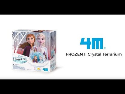 Frozen II Crystal Terrarium