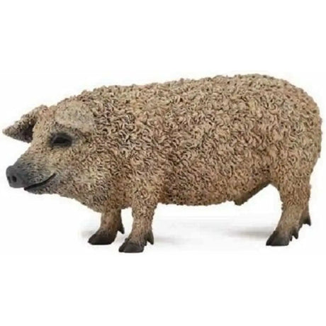CollectA | Hungarian Pig (M) - Toybox Tales
