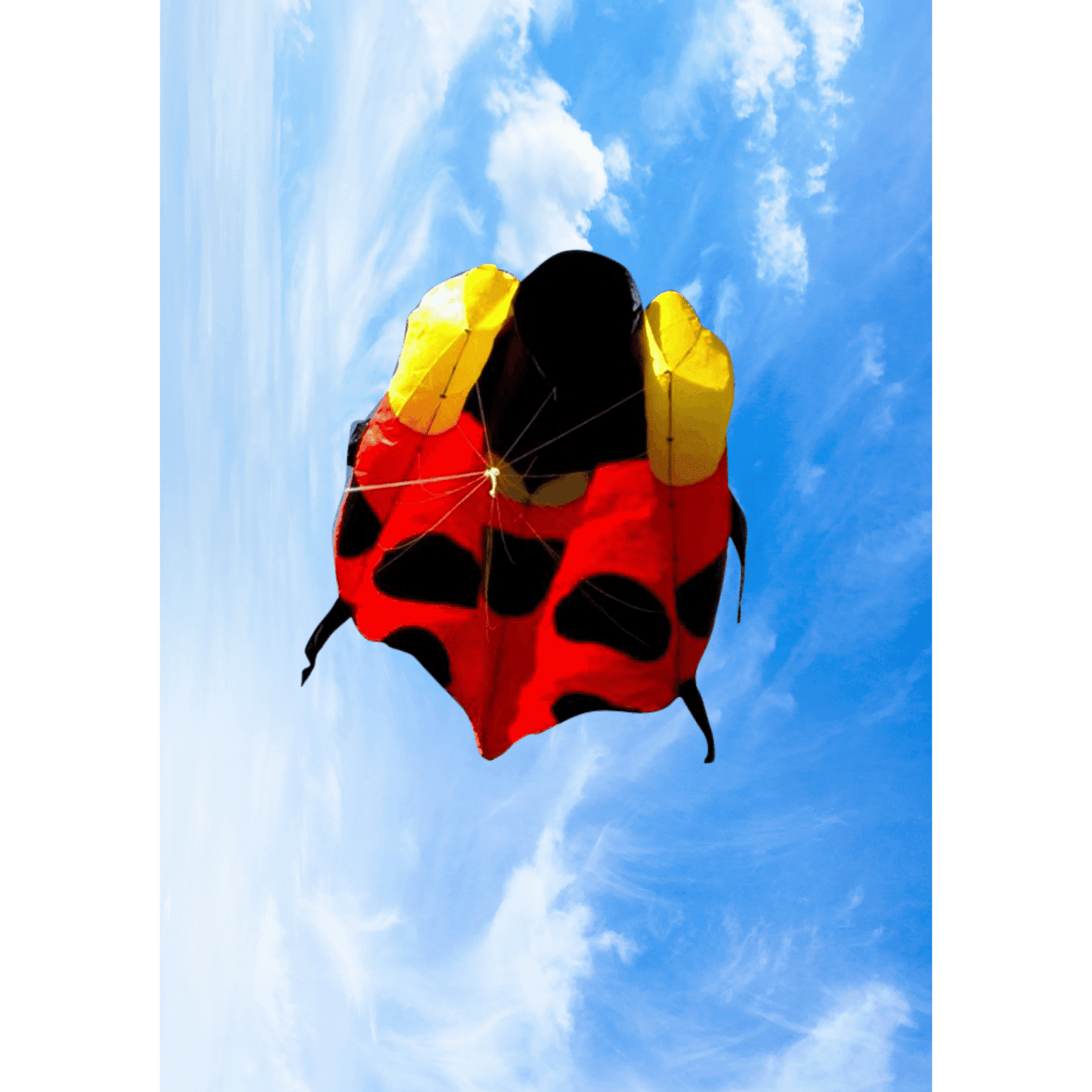Inflatable Ladybird - Toybox Tales