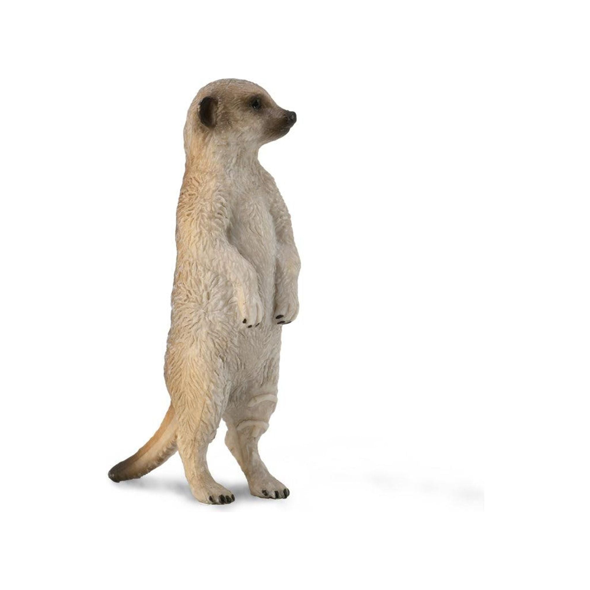 CollectA | Meerkat (S) - Toybox Tales