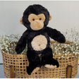 Mikie the Monkey - Toybox Tales