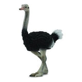 CollectA | Ostrich (L) - Toybox Tales