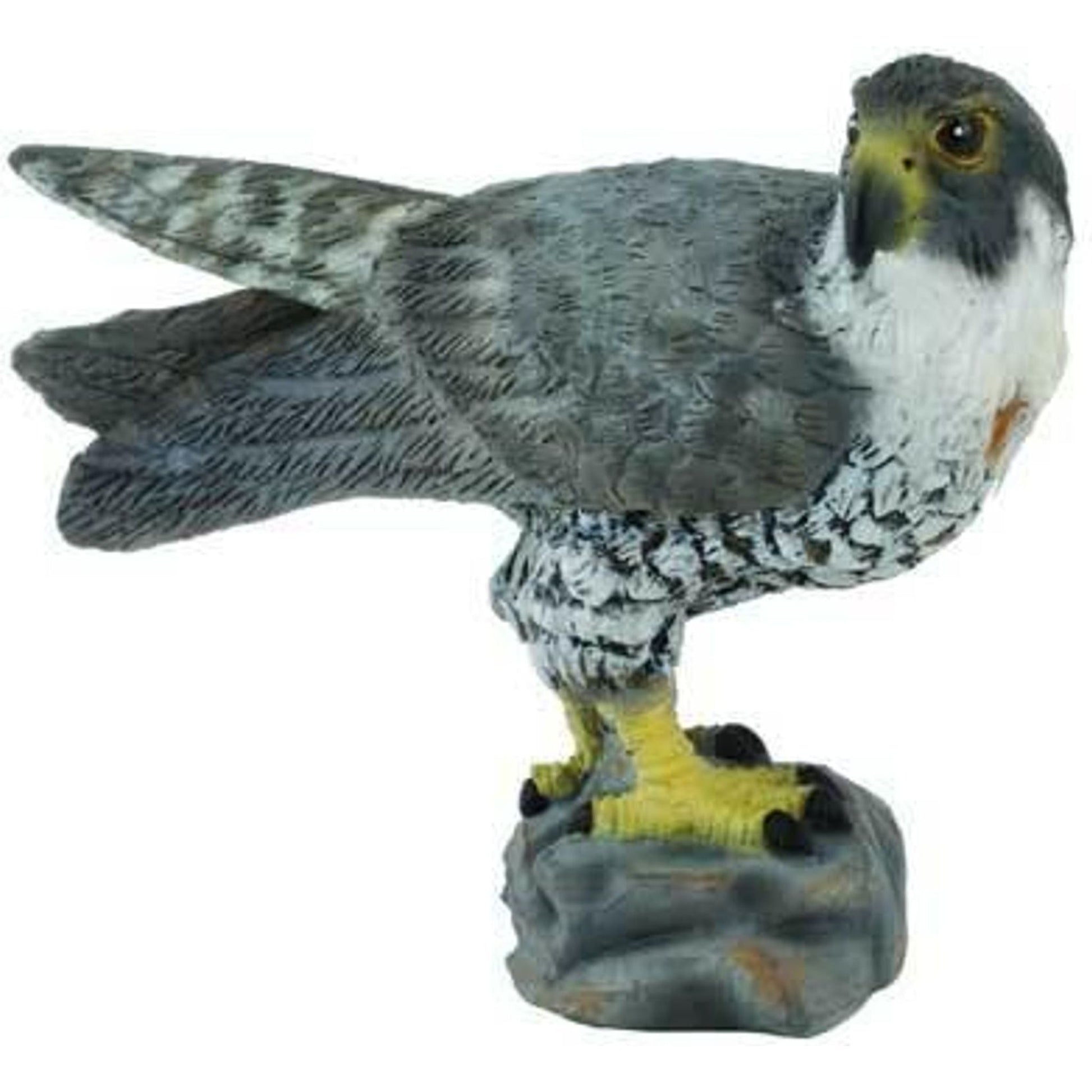 Peregrine Falcon (S) - Toybox Tales