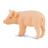 CollectA | Piglet Standing (S) - Toybox Tales