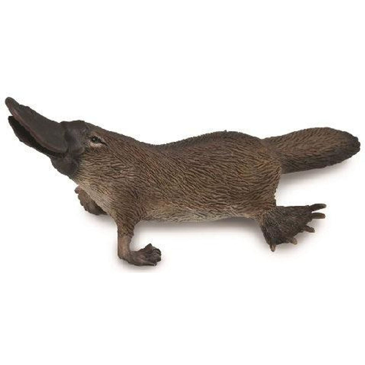 CollectA | Platypus (M) - Toybox Tales