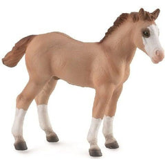 CollectA | Quarter Foal Red Dun Horse (M) - Toybox Tales