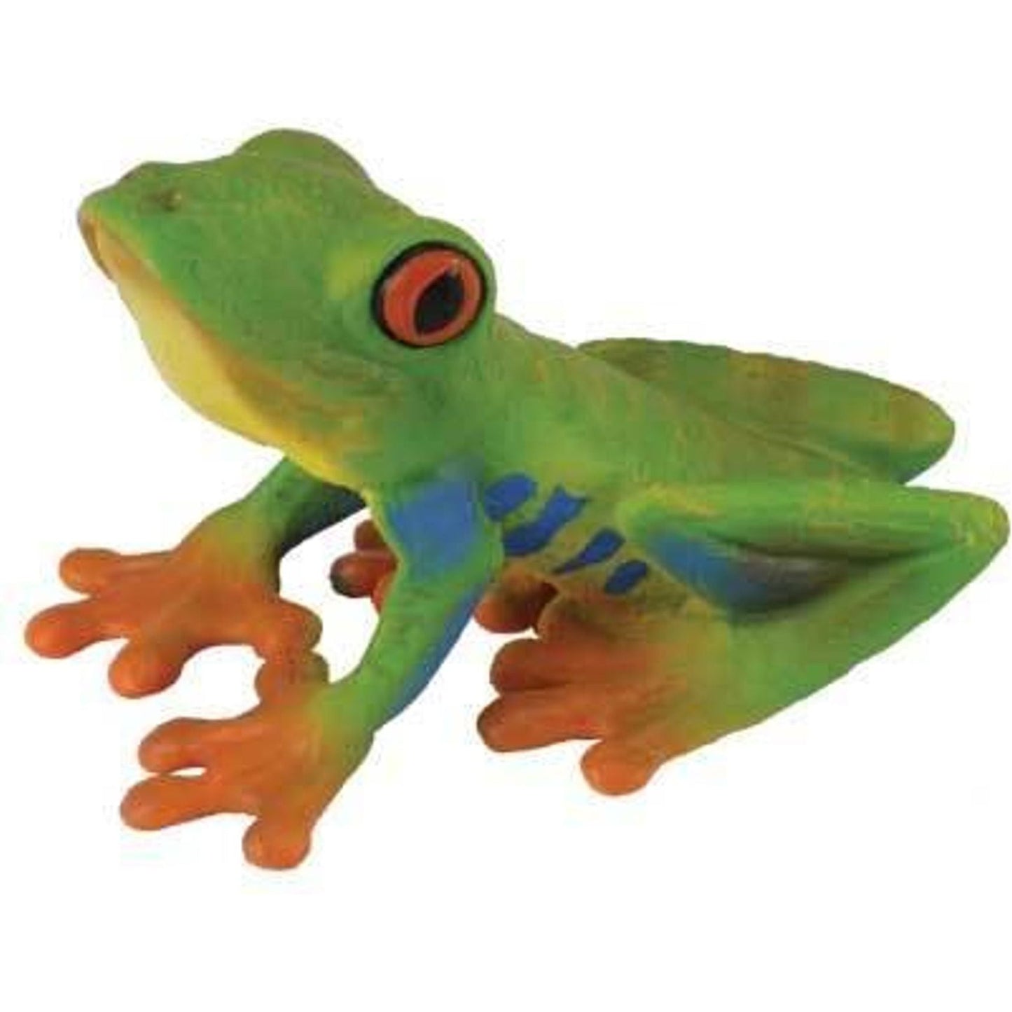 Red-Eye Tree Frog (M) - Toybox Tales