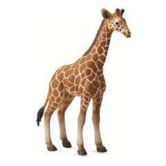 CollectA | Reticulated Giraffe Calf (L) - Toybox Tales