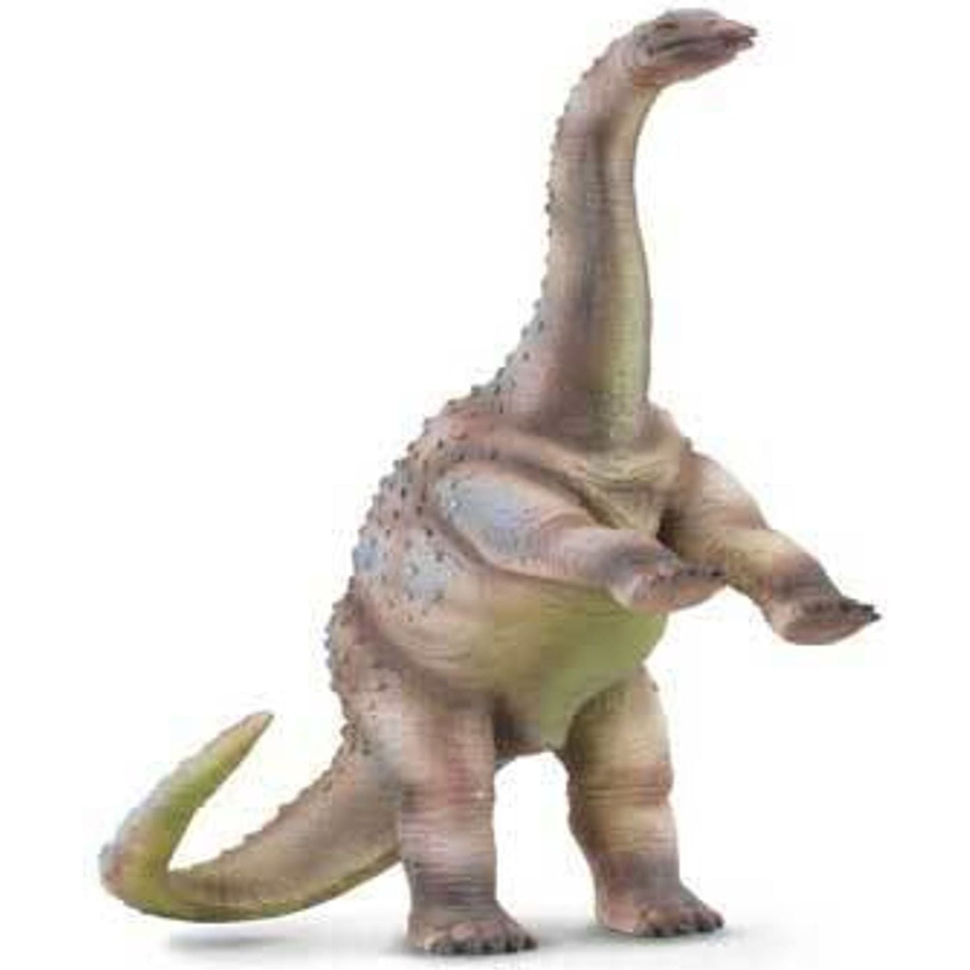 Rhoetosaurus (L) - Toybox Tales