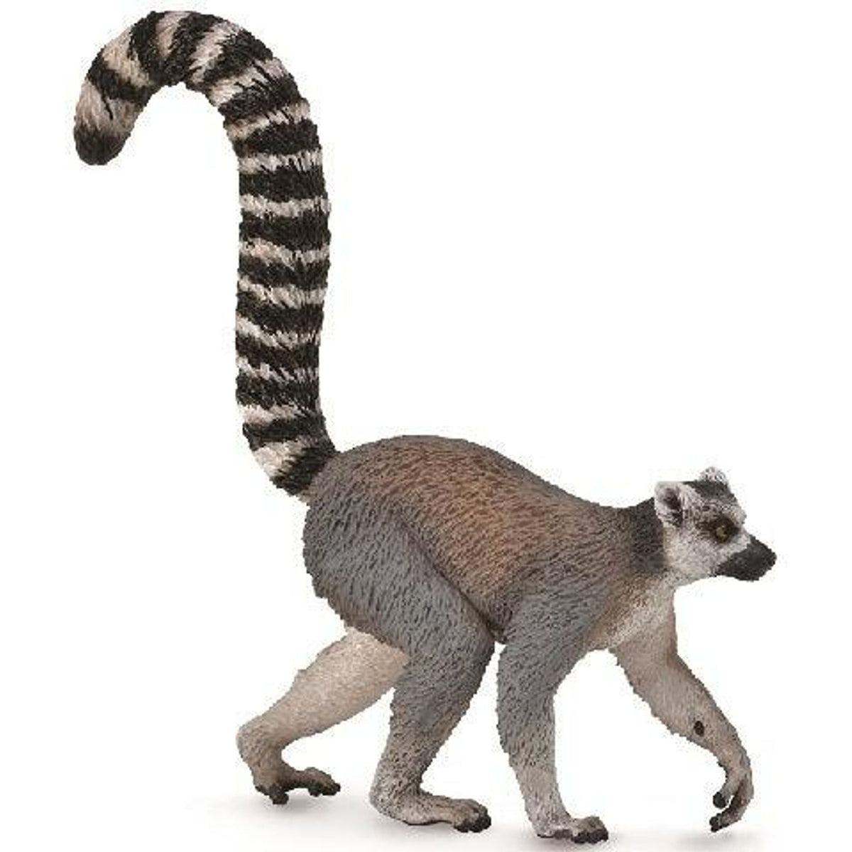 CollectA | Ring-Tailed Lemur (M) - Toybox Tales