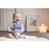 Sensory Set - Koala Buddies - Toybox Tales