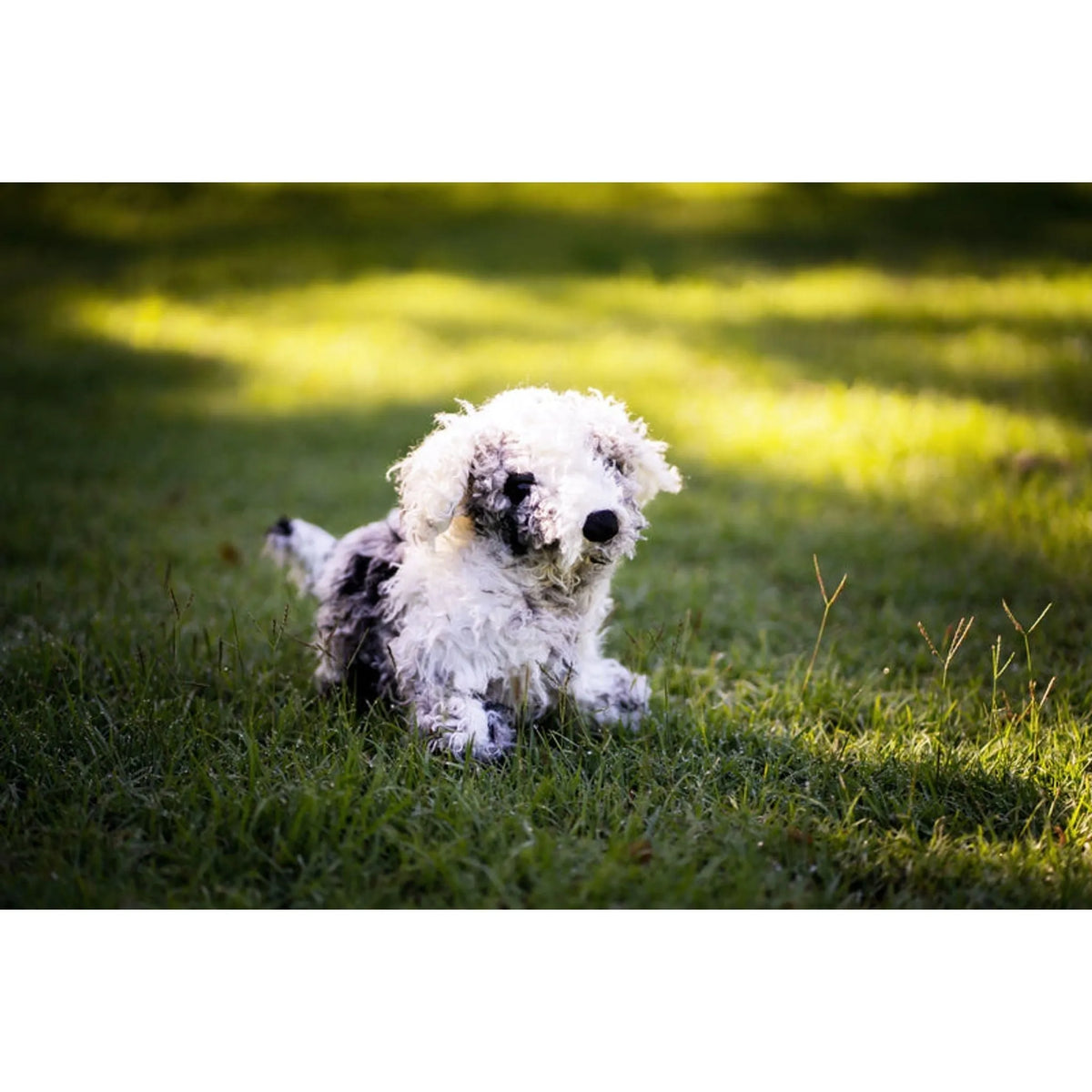 Shih Tzu Dog Puppet - Toybox Tales