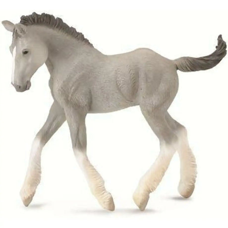 CollectA | Shire Horse Foal (Grey) (M) - Toybox Tales