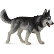 CollectA | Siberian Husky (L) - Toybox Tales