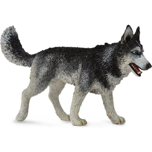 CollectA | Siberian Husky (L) - Toybox Tales