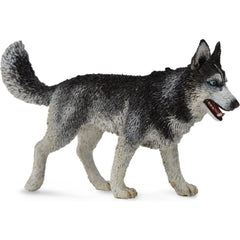 CollectA | Siberian Husky (L) - Toybox Tales