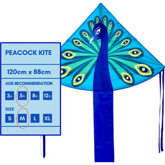 Single Line Kite: Peacock - Toybox Tales