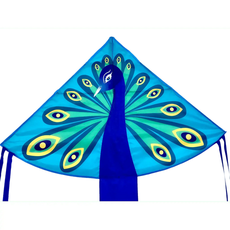 Single Line Kite: Peacock - Toybox Tales
