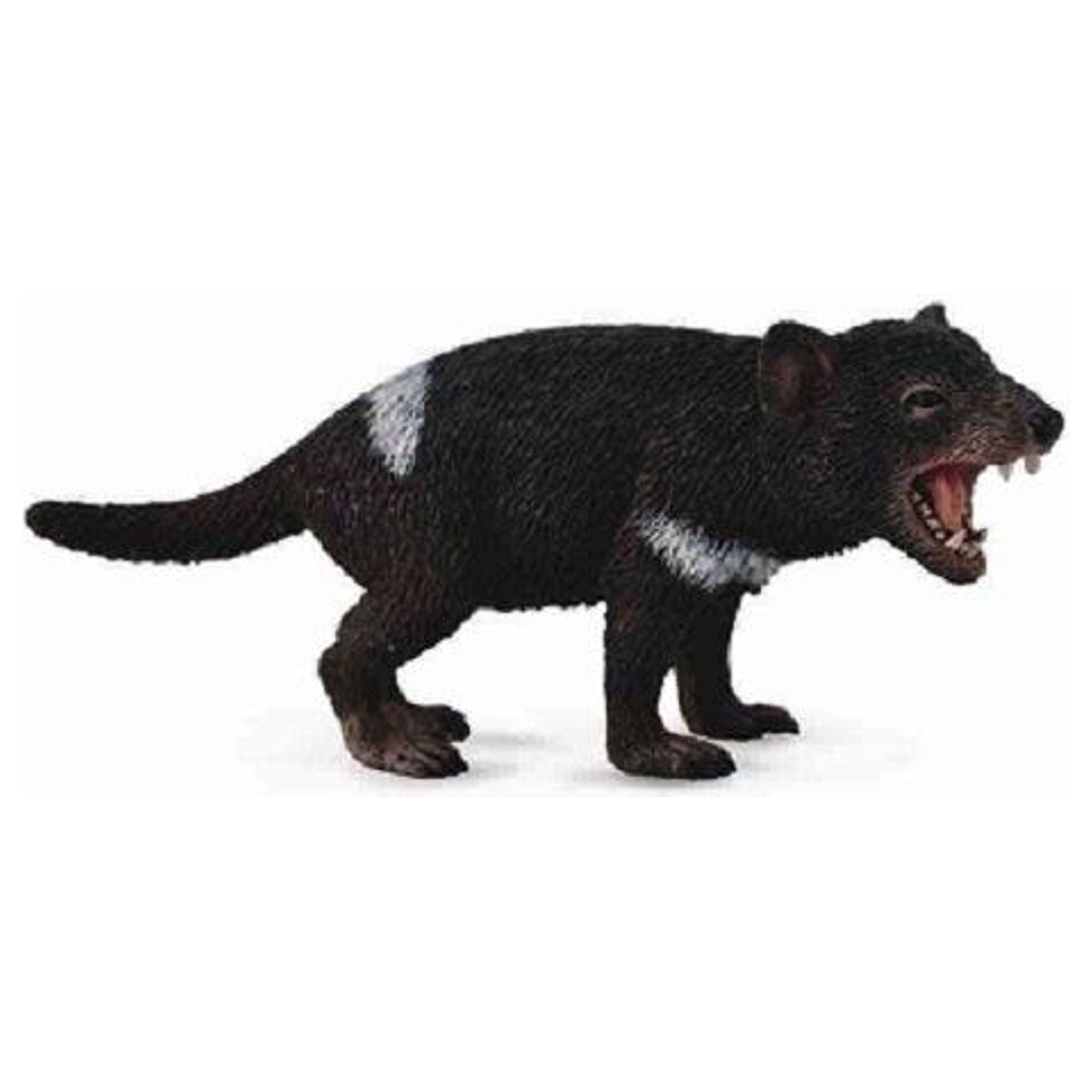 CollectA | Tasmanian Devil (M) - Toybox Tales