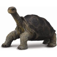 CollectA | Tortoise Pinta Island (M) - Toybox Tales