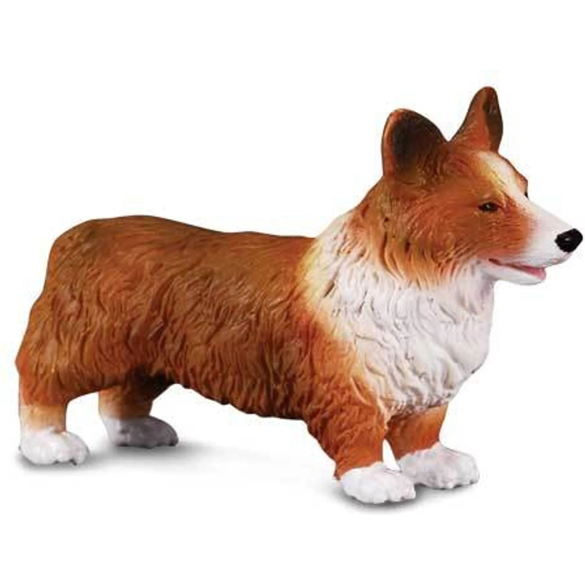 Welsh Corgi - Toybox Tales