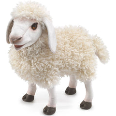 Woolly Sheep Puppet - Toybox Tales